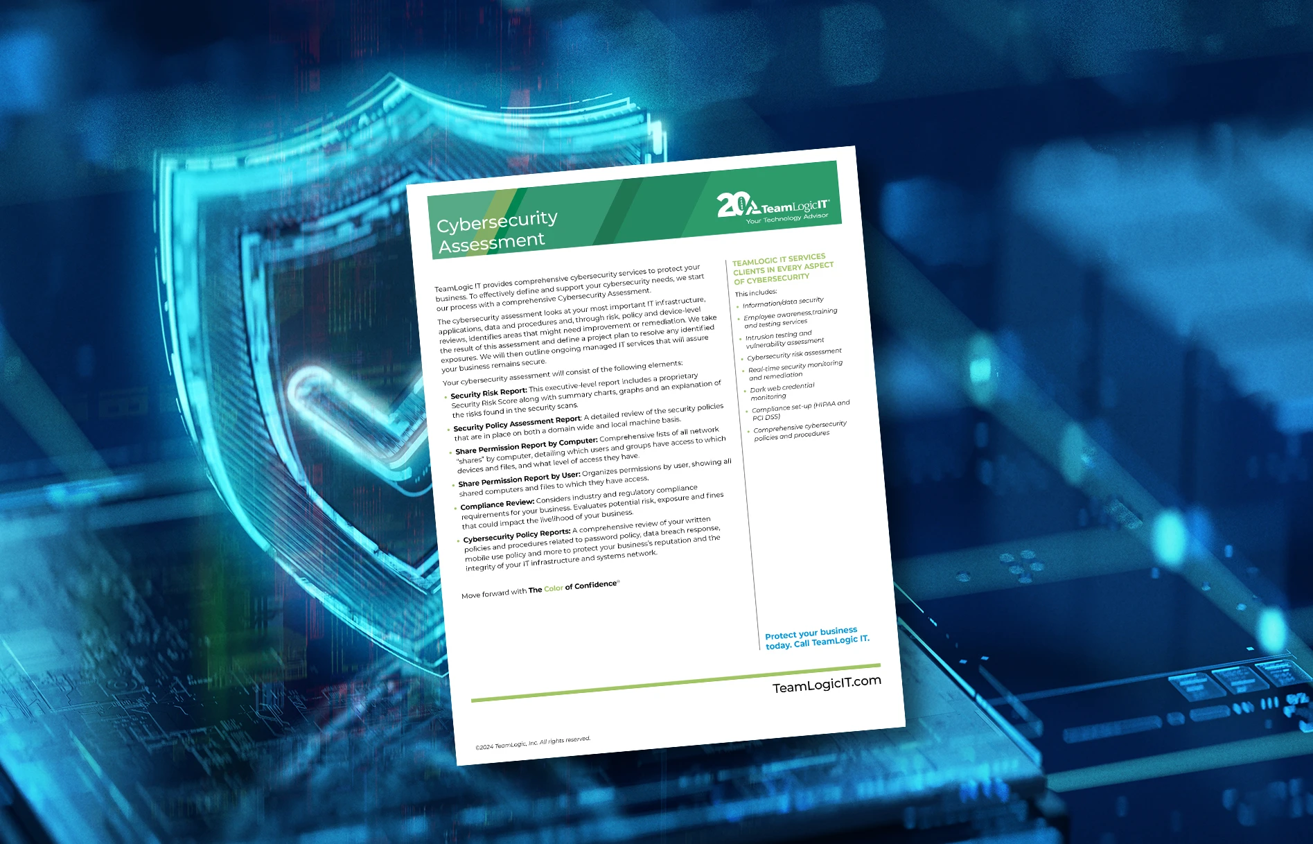 Infosheet - Cybersecurity Assessment Item