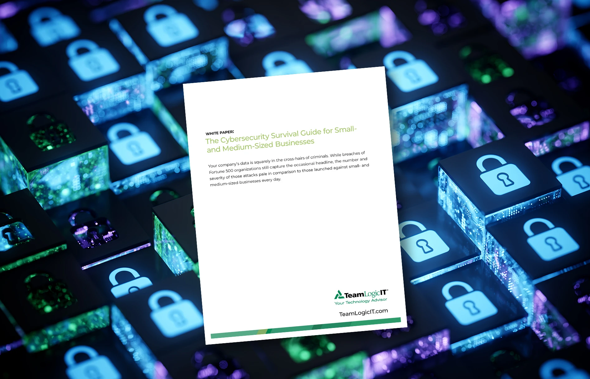 Whitepaper - The Cybersecurity Survival Guide for Small and Medium-Sized Businesses Item