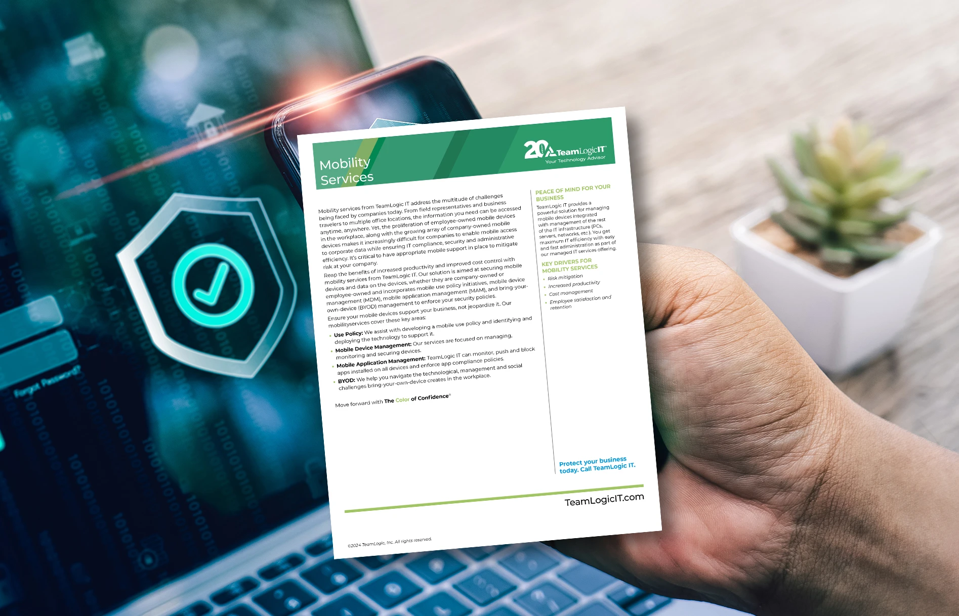 Infosheet - Mobility Services Item