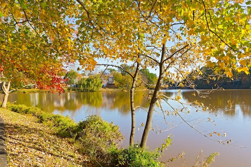 TeamLogic IT Opens in Falls Church TeamLogic IT Opens in Falls Church